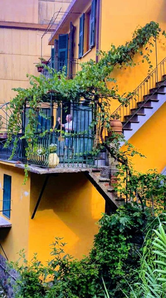 Detail of a mustard yellow house with lush climbing plant along the exterior stairs.