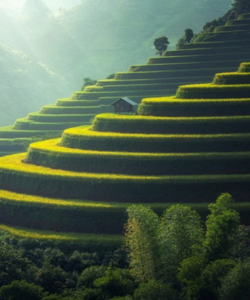 Luxury travel Bali Forest travel (1)