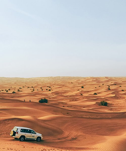 United_Arab_Emirates_Arabian_Desert