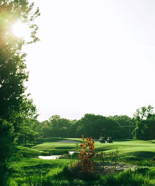 ryder-cup-premium-access-europe-vs-usa