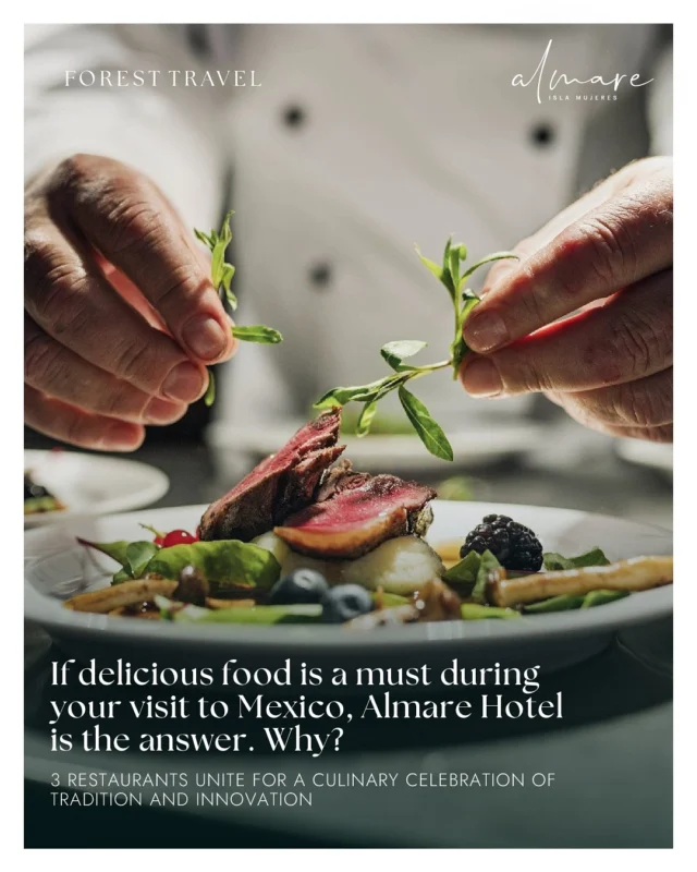 🍽️ At @Almareislamujeres, three restaurants = one epic flavor journey

#almarehotel #mexicancuisine #foodieparadise #luxurydining #caribbeanviews #mayancuisine #islandlife #culinaryexperience #foodiedestination #travelmexico🇲🇽